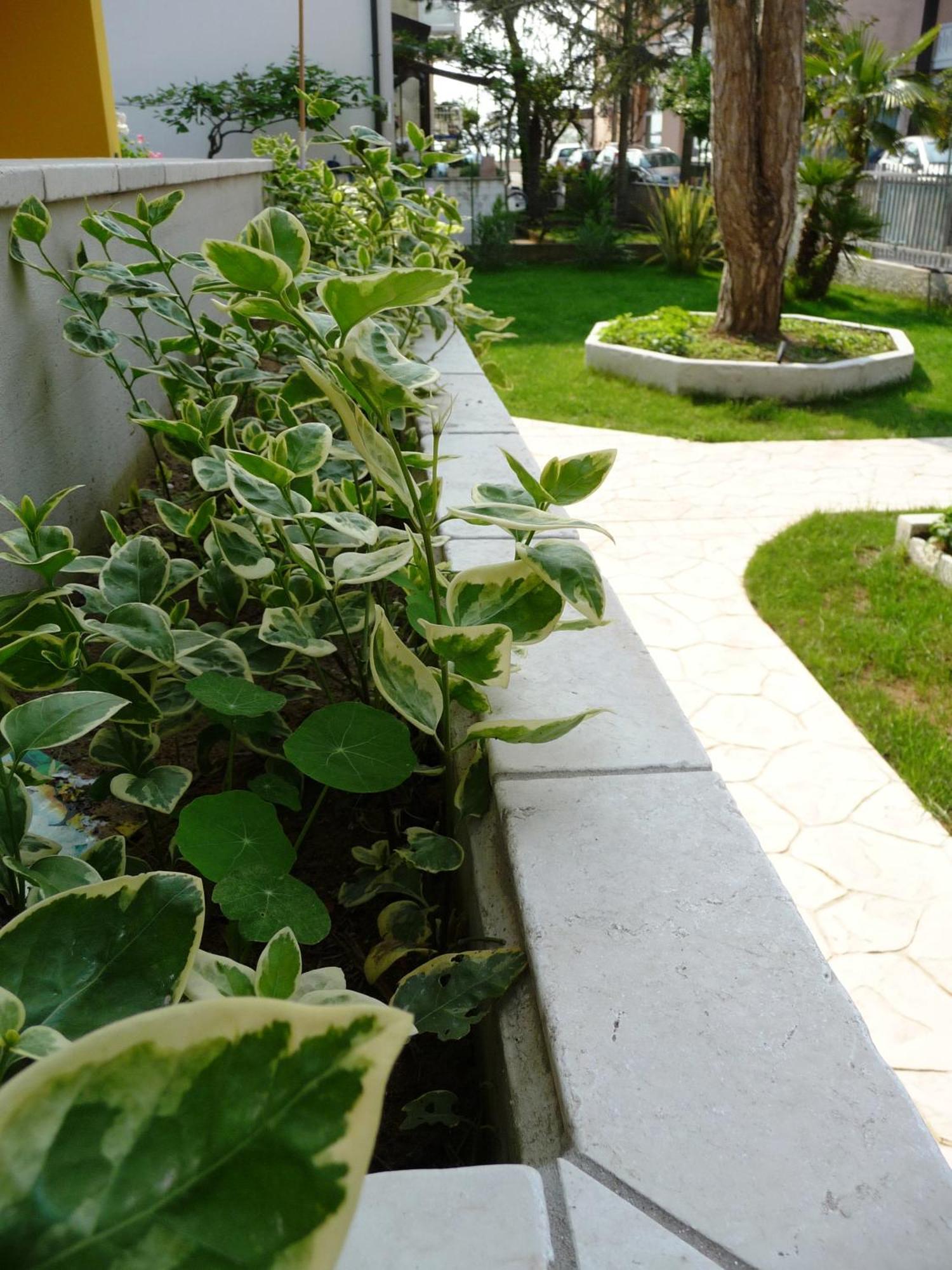 Residence Amarein Caorle Esterno foto